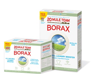 Termite Control - Borax